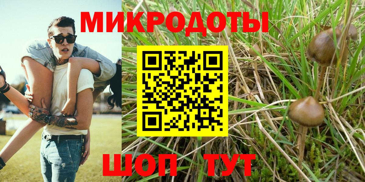 Псилоцибиновые грибы GOLDEN TEACHER  купить наркоту  Нижний Новгород  Вход с VPN 