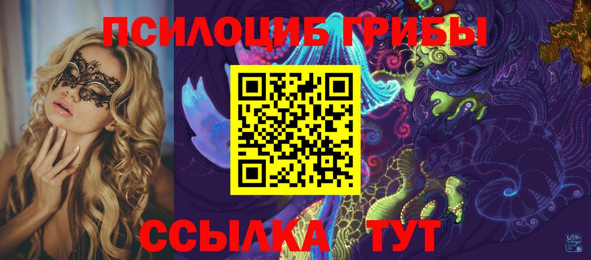 Галлюциногенные грибы Psilocybine cubensis Нижний Новгород