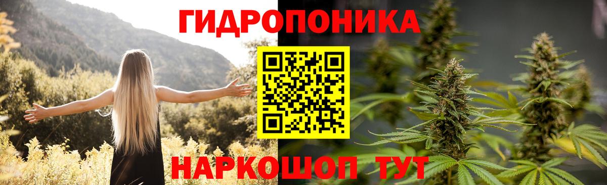 Бошки марихуана семена  Вход с VPN  Нижний Новгород  Каннабис AK-47 